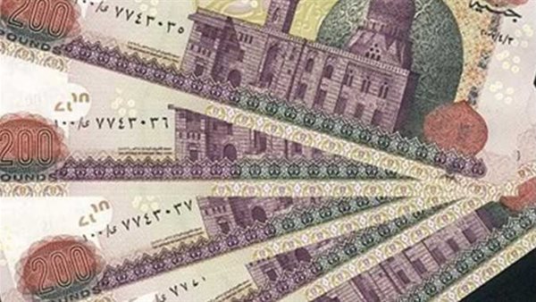 زيادة المرتبات 2024.. تفاصيل الحد الأدنى للأجور الجديد وموعد تطبيقه