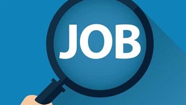 برواتب تصل لـ8000 جنيه.. وظائف خالية جديدة من وزارة الشباب والرياضة