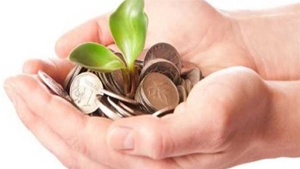 الإفتاء تجيب.. ما حكم إخراج الزكاة بالتقسيط على مدار العام؟