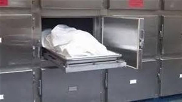 شوفته طالع الشقة بليل.. حكاية علاء قتل ابن عمه بسبب كلمة من زوجته في الجيزة