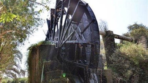 تفاصيل صادمة.. شاب يستدرج طالبا ويجرده من ملابسه ويجبره على الاستحمام أمام الكاميرا