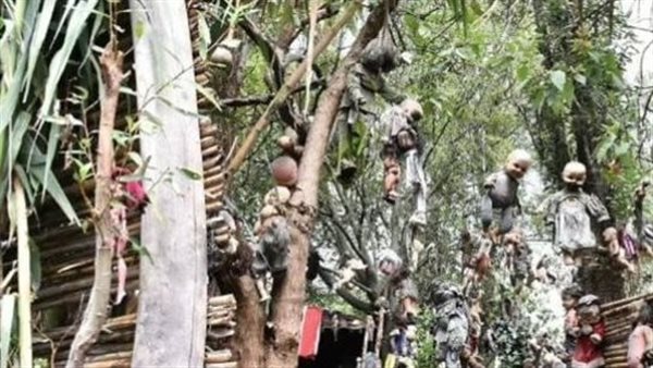 مخيفة ومرعبة.. حكاية جزيرة تملؤها الدمى المشوهة في كل مكان