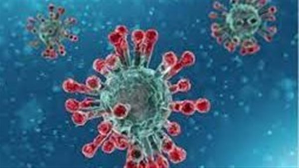 الصين من جديد.. تفاصيل انتشار فيروس قاتل بسبب حيوان والمرضى بين الحياة والموت