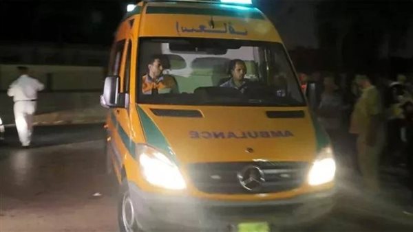 جريمة هزت مصر.. القصة الكاملة لتخلص شاب من والدته حرقا بالغربية