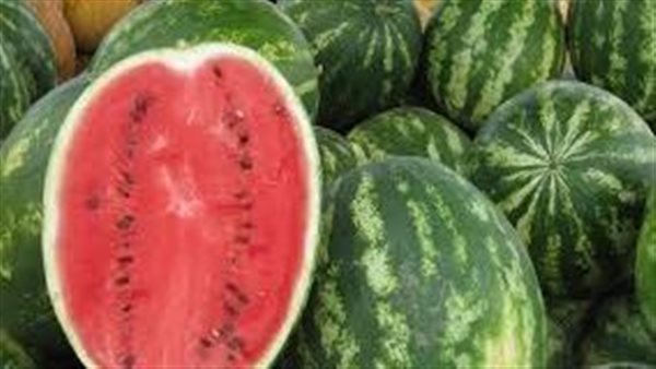 أول رد من الزراعة.. حقيقة وجود بطيخ مسرطن بالأسواق