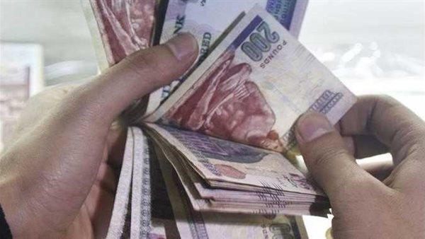 لمدة 3 سنوات.. أعلى عائد على شهادات الادخار في مصر 2024