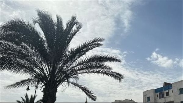 حرارة ورياح وفرص أمطار.. الأرصاد تحذر من حالة الطقس غدا الأحد 12-5-2024