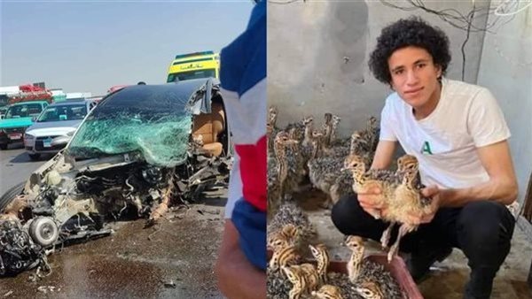 يوسف عدلي مربي النعام.. تفاصيل مصرع أصغر رجل أعمال بمصر في حادث سير