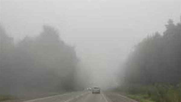 أمطار وتقلبات جوية.. الأرصاد تحذر وتعلن حالة الطقس غدا الخميس 25-4-2024