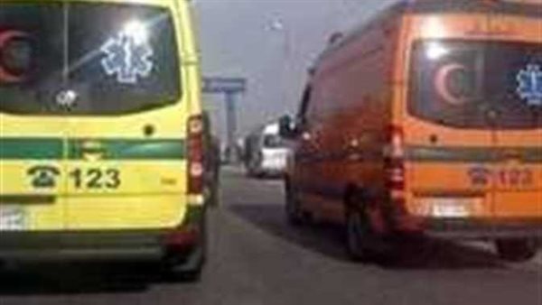 حبسها ومنعها من السفر.. تفاصيل صادمة في طعن فتاة لوالدها بالمحلة الكبرى