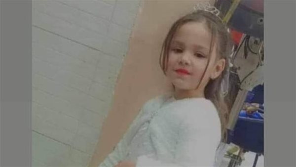 مشاجرة بسبب كلب.. قرار جديد بشأن المتهمين بإنهاء حياة غزل في السيدة زينب