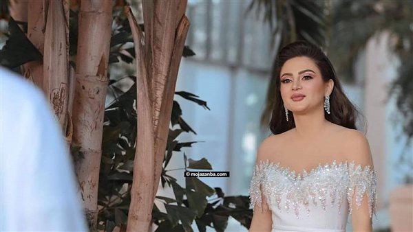 بعدما أعلنت انفصالها رسميًا.. من هي دانية الشافعي ؟ 