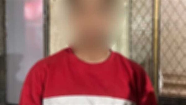 بلا رحمة..قرار عاجل ضد طالب اعتدى على كلب بحجر حتى الموت بعين شمس