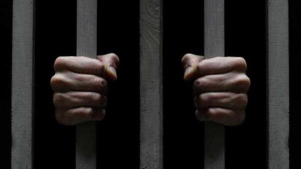 قتل شقيقه ومزق والدته وأخويه.. ماذا حدث في عزبة الناموس بالقليوبية؟