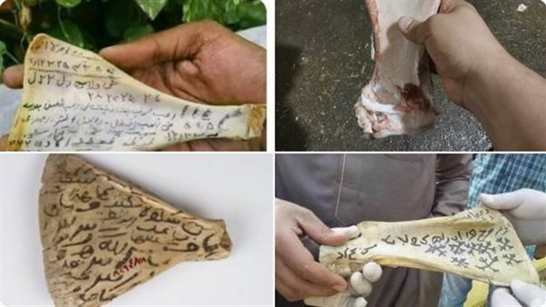 عضمة بيت اللوح.. ما علاقتها بالسحر ولماذا يفضل تحطيمها بعد الذبح؟