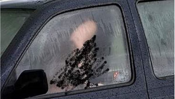 وضع مخل.. ماذا فعل شاب وفتاة داخل سيارة في الطريق العام بمدينة نصر؟