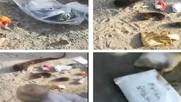 حقيقة العثور على أعمال سحر في جبل عرفات بعد انتهاء موسم الحج 1445 | فيديو