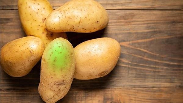 هذا ما يحدث إذا تناولتها.. سر خطير وراء البقع الخضراء في البطاطس