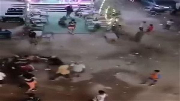 5 دقائق أشعلت السوشيال.. تفاصيل صادمة جديدة عن مقتل مدرب جيم في شبرا