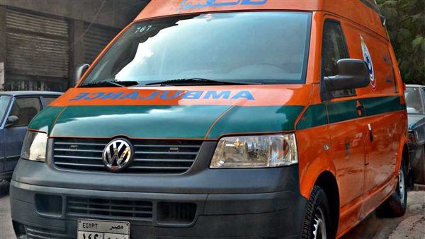 بيكلم واحدة في التليفون.. ربة منزل تصيب نفسها بسبب زوجها في الجيزة