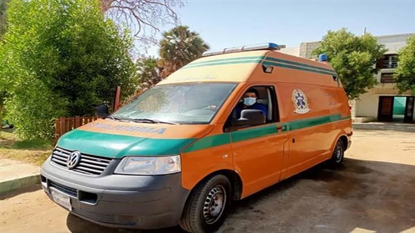 أغمى عليها.. سر صراخ إيطالية داخل مطعم بالهرم