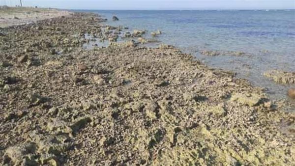 انحسار المياه في 6 محافظات و5 إجراءات عاجلة.. ماذا يحدث على شواطئ مصر؟