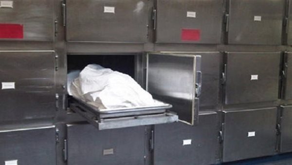 جريمة شرف.. تفاصيل الحكم على عاطل أنهى حياة منجد في المعادي