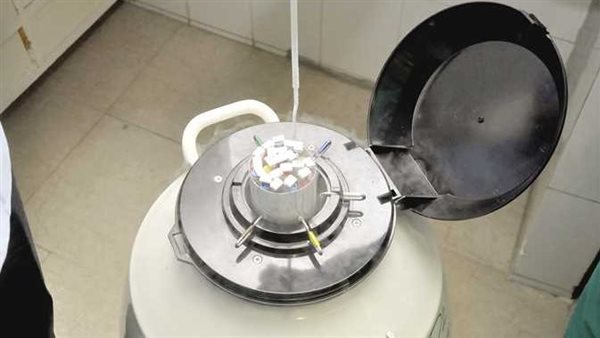 أستاذ بطب الأزهر: 