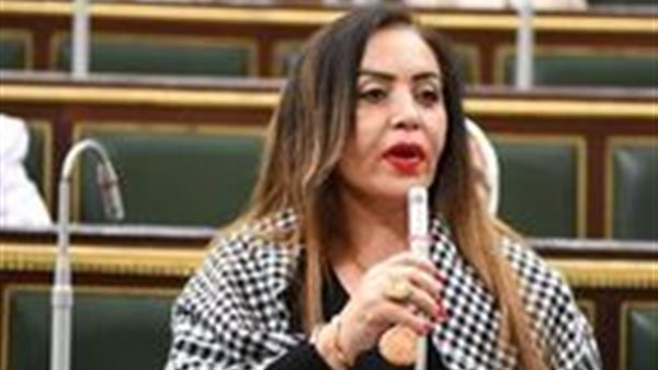 برلمانية: أولياء الأمور مش فاهمين قرارات تطوير المنظومة التعليمية | فيديو