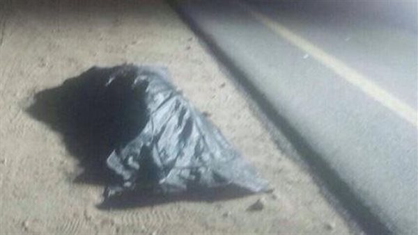 قتيل في الطريق.. تفاصيل الحكم على 6 متهمين في جريمة المنتزه بالإسكندرية