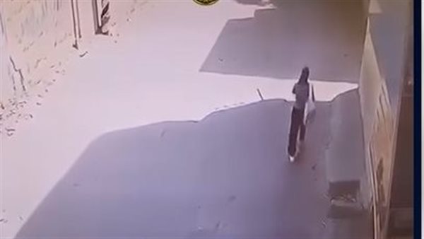 الحرامي خطفه وركب توكتوك.. فيديو مثير يوثق لحظة سرقة هاتف فتاة في شارع بالبحيرة | شاهد