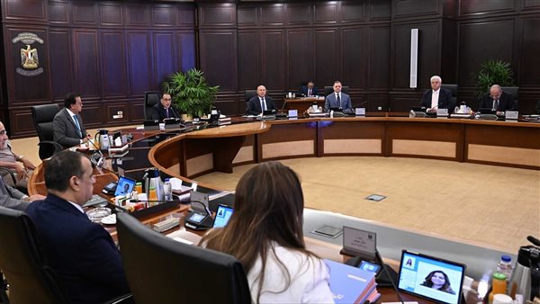 بقرار من مجلس الوزراء.. ترقيات وحوافز جديدة لهؤلاء الموظفين 