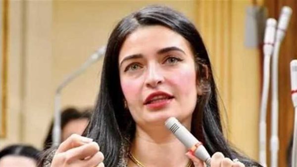 تسعيرة السنتر أرخص من الوزارة.. سؤال برلماني بشأن إعادة مجموعات التقوية بالمدارس