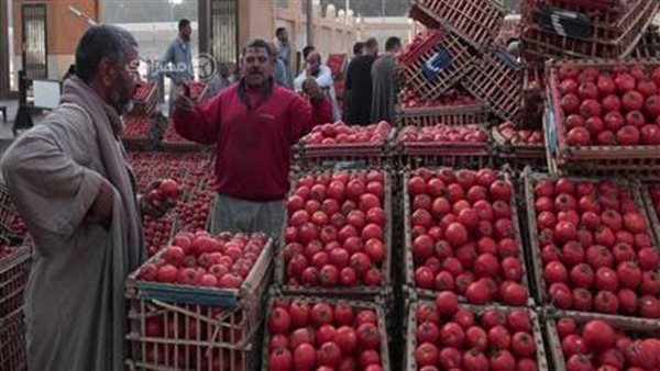 بعد وصولها لـ ٤٠ جنيهًا.. مفاجأة جديدة بشأن أسعار الطماطم