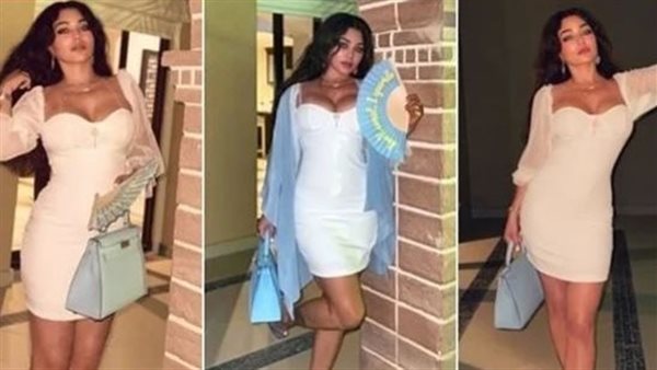 4 ملايين جنيه.. سعر حقيبة هيفاء وهبي بالساحل الشمالي يثير ضجة | شاهد