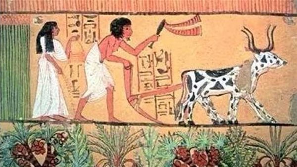 مع بداية سنة 1742.. كل ما تريد معرفته عن التقويم القبطي