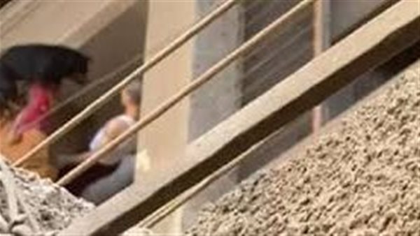 فيديو صادم.. تفاصيل تعذيب وإلقاء كلب من الطابق السادس في المعادي