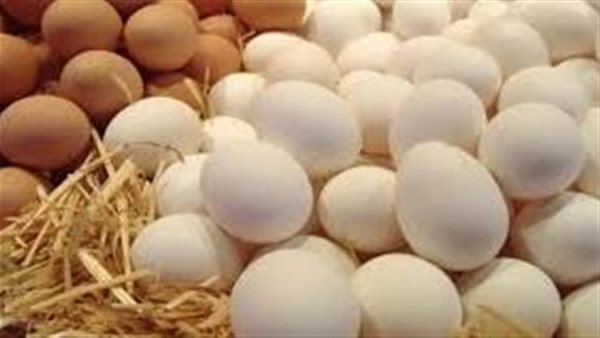 «الطبق بـ180 جنيه».. شعبة البيض: 3 أسباب وراء ارتفاع الأسعار