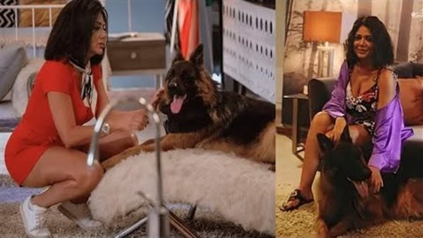 كلام فارغ.. تعليق مثير من رانيا يوسف على منع عرض فيلم أوراق التاروت | شاهد