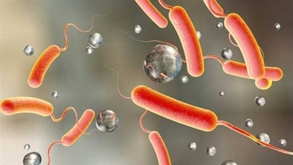 بعد إصابة حالات بها في أسوان.. كل ما تريد معرفته عن بكتيريا الإيكولاي وأعراضها