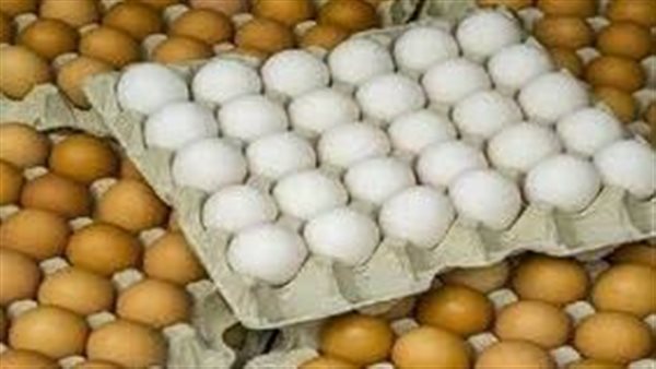 الطبق بـ150 جنيه.. تفاصيل مبادرة الزراعة لطرح بيض المائدة في المحافظات | فيديو