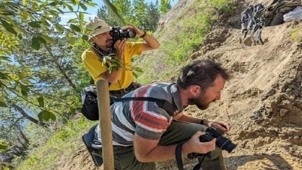 عمرها 180 مليون سنة.. تفاصيل اكتشاف شجرة بعد اختفائها