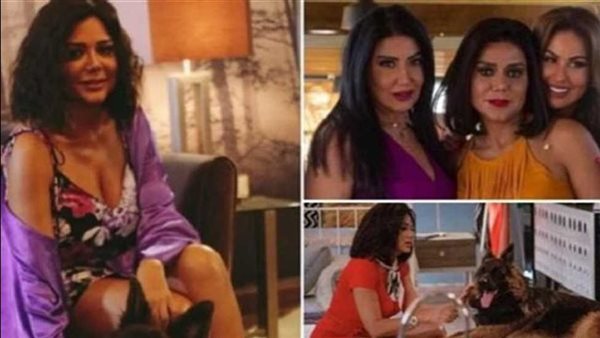 مشهد جري مع كلب ويوتيوبر ومليون جنيه.. تفاصيل مثيرة جديدة عن أزمة فيلم التاروت