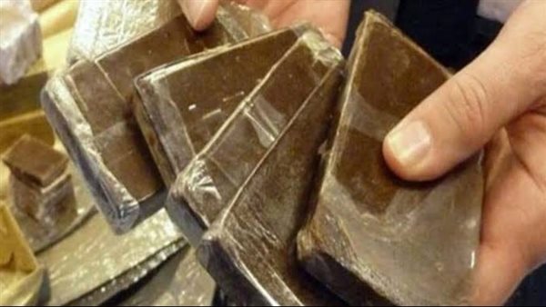 ضبط عاطل بحوزته ٢٥ فرش حشيش بالإسماعيلية