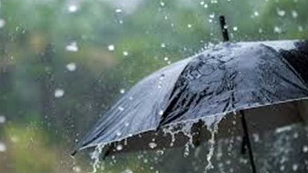 هيئة الأرصاد تكشف عن موعد بدء فصل الشتاء 2024 | فيديو