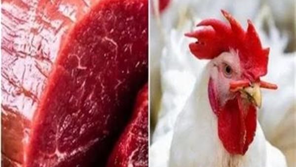 مفاجأة قبل إجازة الأحد.. تحرك أسعار الفراخ واللحوم اليوم الجمعة 4 أكتوبر