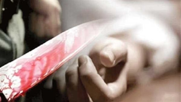 قطعها ورماها للكلاب.. تفاصيل إحالة المتهم بقتل جارته في النهضة إلى الجنايات 