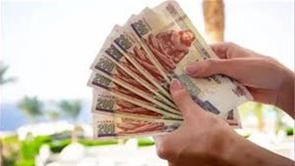 5000 جنيه شهريا.. تفاصيل أعلى عائد شهادات استثمار في البنوك