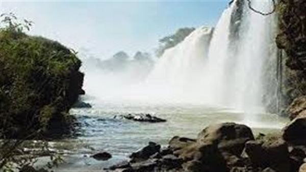 عباس شراقي: الدول الغنية مائيا في أفريقيا تعاني من المجاعات | فيديو