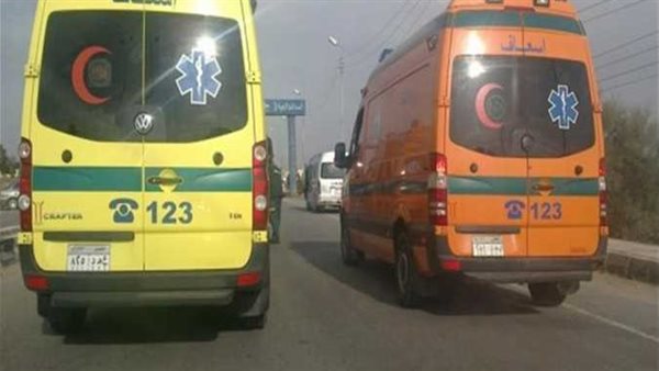 عاشا وماتا معا..القصة الكاملة لوفاة زوجين في ساعة واحدة بقنا